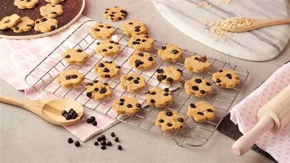 Ciasteczka z suszonymi jagodami