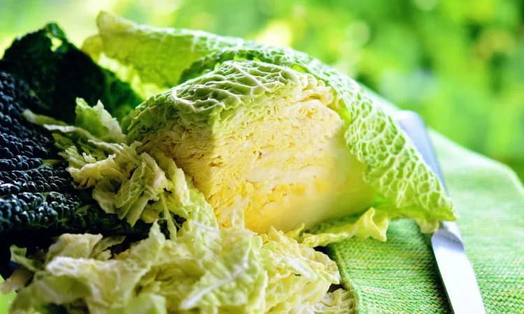 Sok z kapusty białej: Korzyści zdrowotne i przepisy na zdrowie każdego dnia