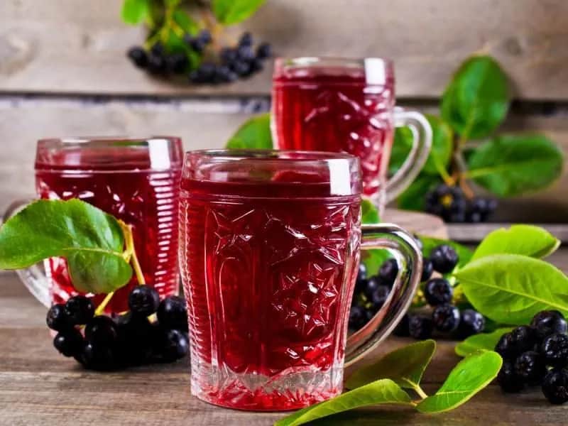 Zobacz najlepsze przepisy i pomysły na wykorzystanie aronii w kuchni