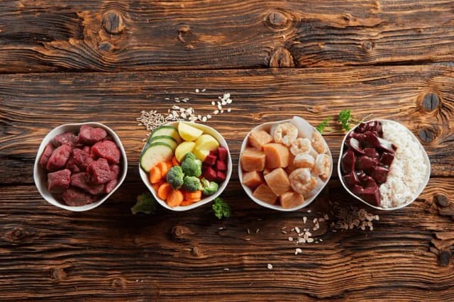 Co ugotować dla kota: zdrowe przepisy i wskazówki, które zachwycą pupila