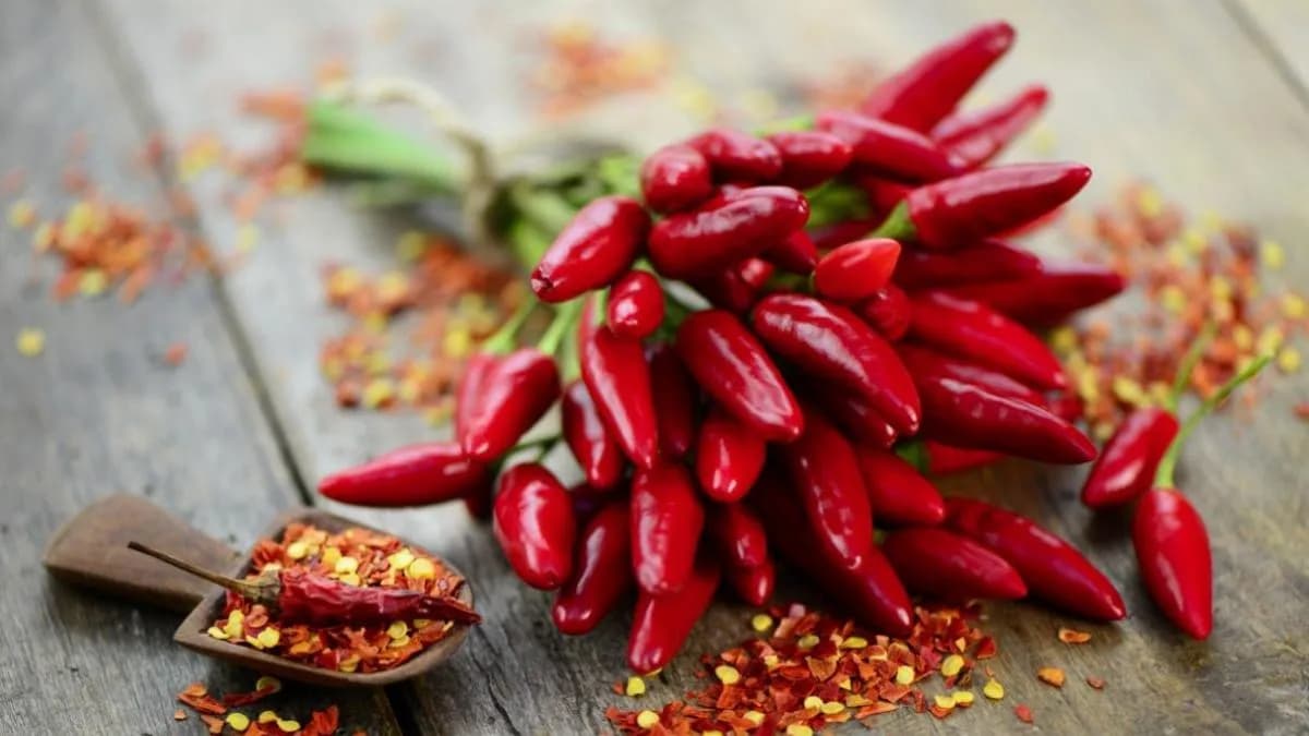 Chili Fit: Skuteczna droga do zdrowego i pikantnego odchudzania