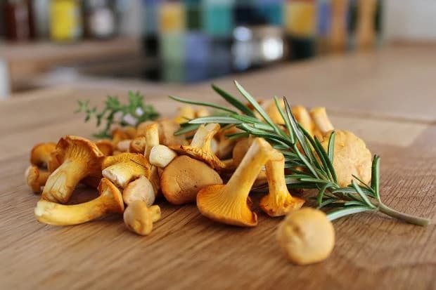 Grzybobranie na kurkach: praktyczny przewodnik dla początkujących