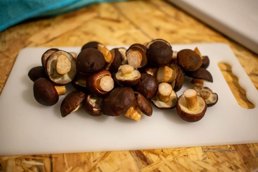 Sposób na ugotowane grzyby - 5 prostych pomysłów na pyszne dania